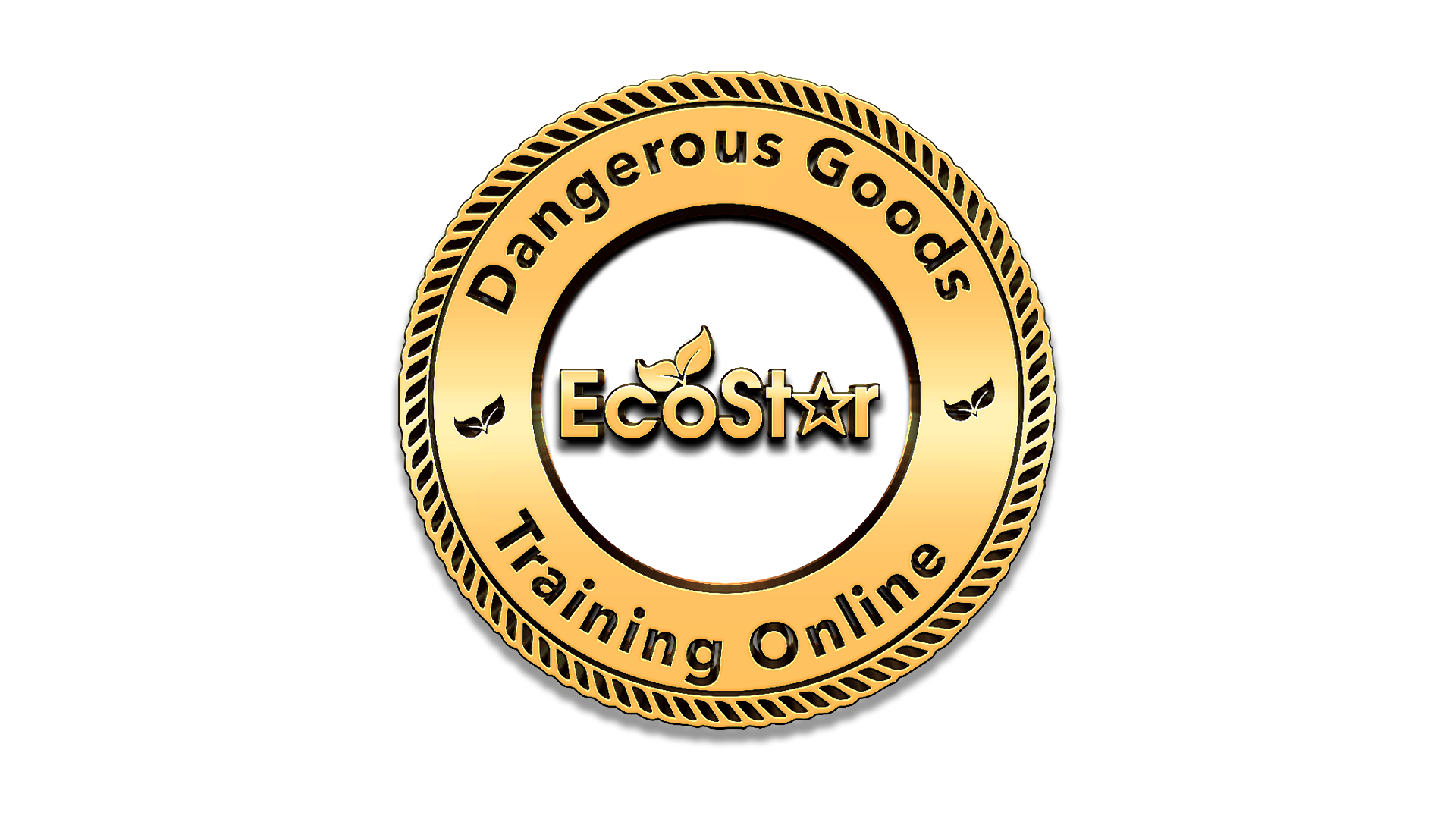 EcoStar Dangerous Goods Training Online Shop